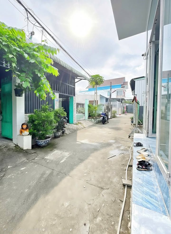 Nhà cấp 4 hẻm 4 Bùi Hữu Nghĩa, Bình Thủy, 297m² giá 2.25 tỷ - Sân vườn rộng rãi!