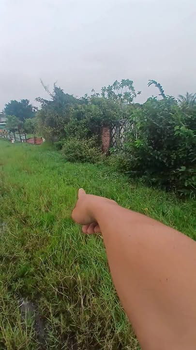 Đất thổ cư Phước Hưng, Bà Rịa 135m² giá 1 tỷ - Cần bán gấp!