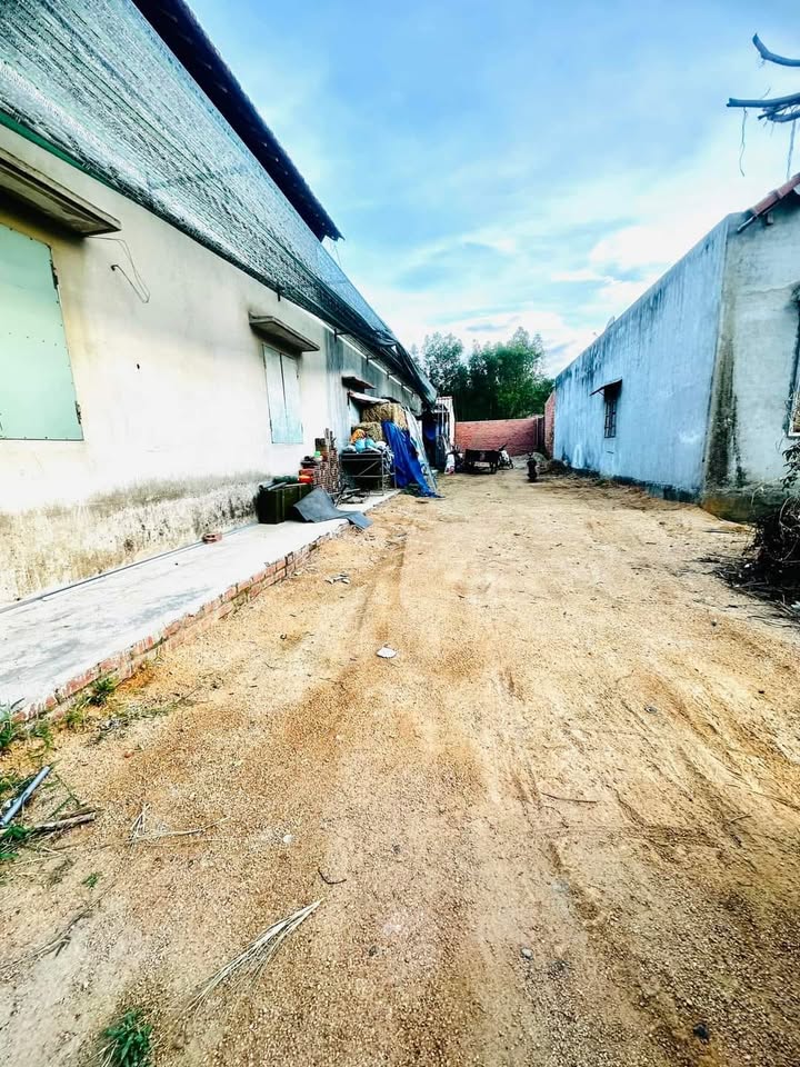 Đất nền xã Tây Xuân, huyện Tây Sơn, 150m² giá thỏa thuận - Sổ đỏ chính chủ