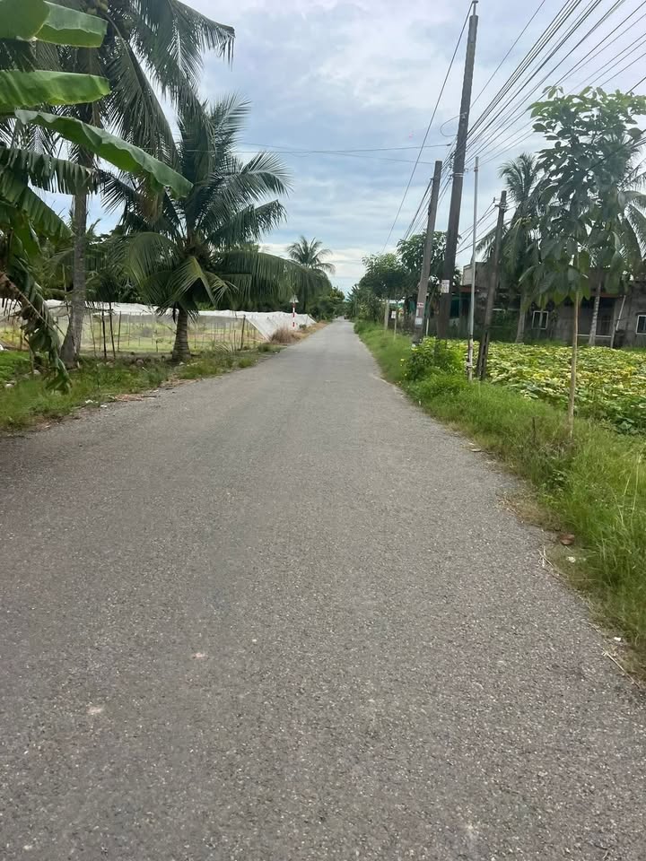 Đất mặt tiền nhựa Châu Hưng 500m² giá 3.5 tỷ - Đầu tư sinh lời ngay!