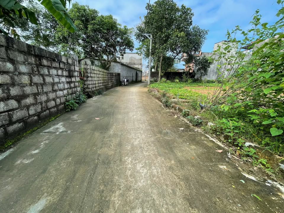 Đất nền Phúc Sơn, 80.2m² chỉ 1 tỷ - Sổ đỏ chính chủ, tiềm năng tăng giá cao!