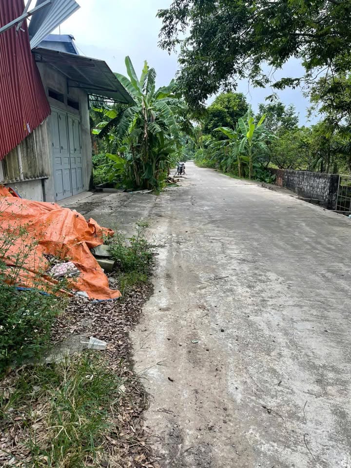 Đất nông nghiệp 5 sào tại xã Hồng Sơn, 1800m² - Cơ hội đầu tư vàng!