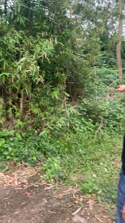 Đất nền nghỉ dưỡng Chu Điện Lục Nam 2000m² giá 5 tỷ - Đầu tư lý tưởng!