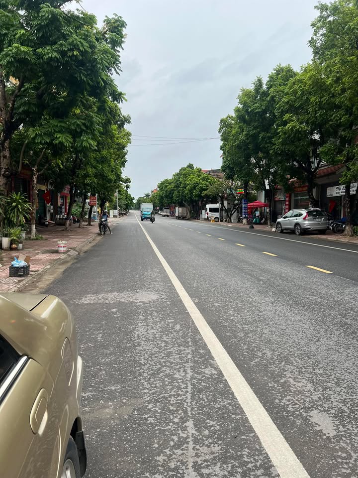 Đất nền mặt đường QL 17, Đa Mai, Bắc Giang 250m² - Cơ hội đầu tư kinh doanh tuyệt vời!