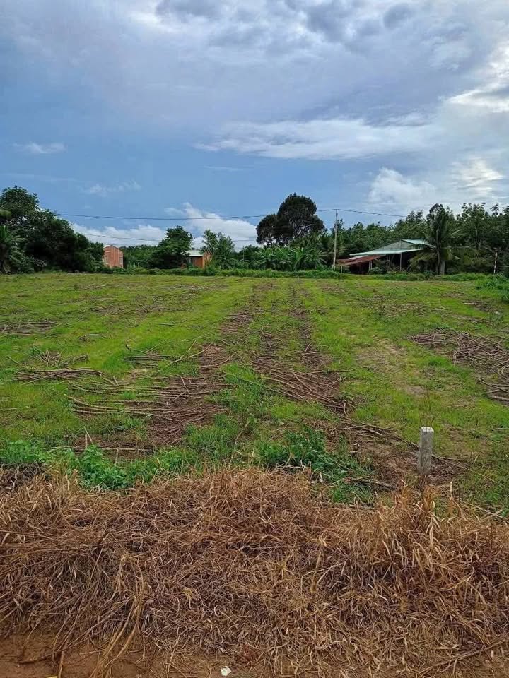 Đất thổ cư Thạnh Bình Tân Biên 190m² giá 150 triệu - Sổ hồng sẵn, công chứng ngay!