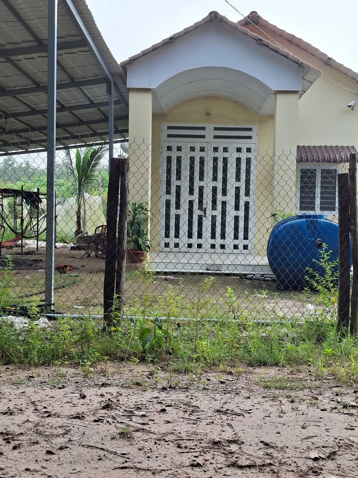 Đất Ấp 4 Xã Suối Dây, Tân Châu, Tây Ninh 12.000m² giá 2.1 tỷ - Vị trí đẹp, pháp lý rõ ràng!