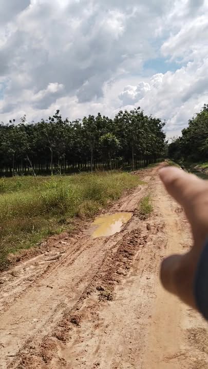 Đất nền 14000m² tại ấp 5, xã Trà Vong, Tây Ninh - Giá chỉ 1 tỷ!