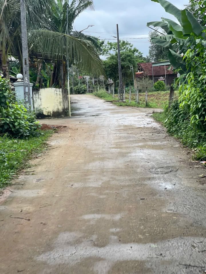 Đất thổ cư Quang Tiến, Thái Hòa 256m² giá 600 triệu - Hướng Bắc thuận lợi!