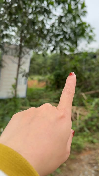 Đất đấu giá Nghĩa Long 240m² - Gần Ủy ban nhân xã, vị trí đắc địa!