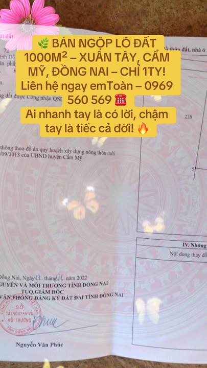 Đất nền 1000m² tại Xuân Tây, Cẩm Mỹ chỉ 1 tỷ - Đầu tư sinh lời ngay!