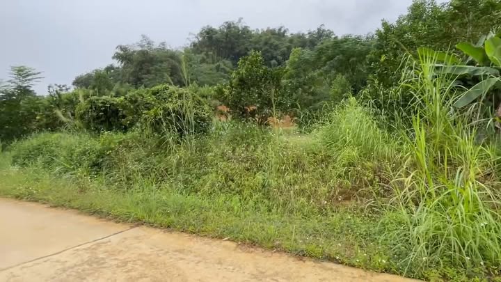 Đất nghỉ dưỡng Xuân Thủy, Yên Lập 658m² - View cánh đồng thanh bình