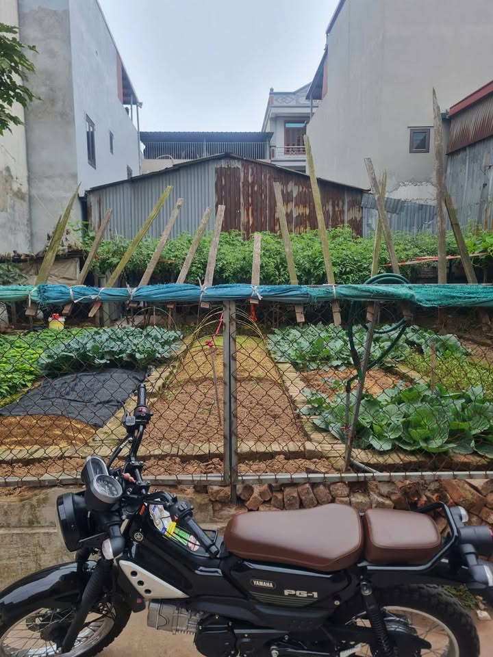 Đất nền Phù Khê, Từ Sơn 50m² giá 2 tỷ - Đường ô tô vào tận nơi!