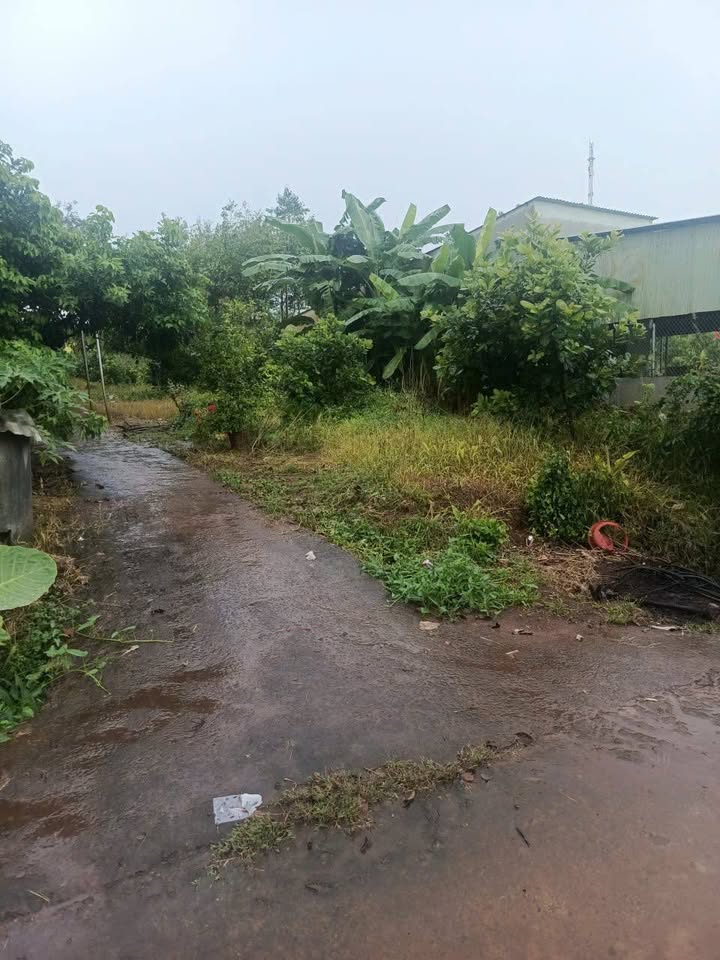 Đất nền Long Bình Phú Riềng 660m² giá chỉ 400 triệu - Cơ hội đầu tư tuyệt vời!