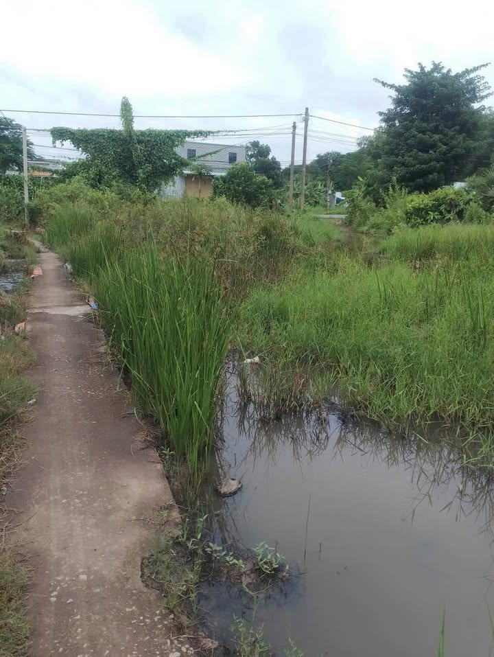 Đất nền mặt tiền Quốc Lộ 1A, 1407.9m² giá 100 triệu - Cơ hội đầu tư tuyệt vời!