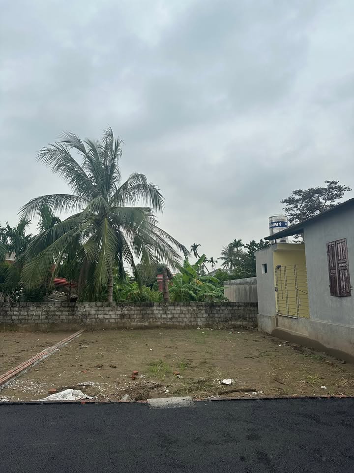 Đất nền Tân Phong, Kiến Thụy 70.2m² chỉ 1.2 tỷ - Cơ hội hiếm có!