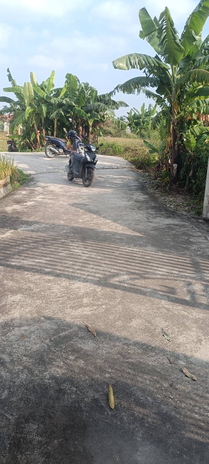 Đất nền chính chủ phường Thiên Hương, Hải Phòng 93m² - Đầu tư sinh lời ngay!