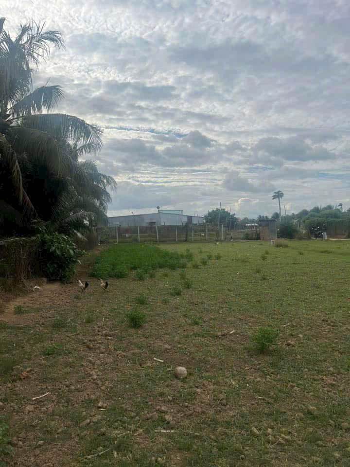 Bán lô đất 2 mặt tiền Phường Đô Vinh, 743m² giá 1.2 tỷ - Tiềm năng đầu tư lớn!