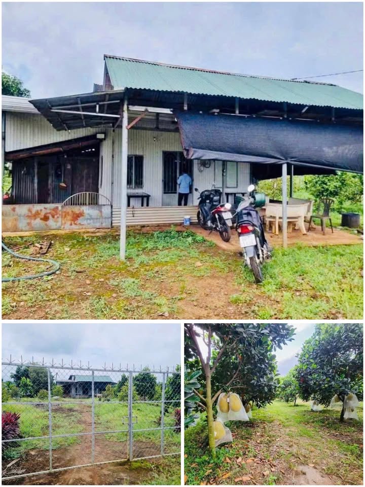 Đất nền Chơn Thành Bình Phước 1400m² giá thỏa thuận - Mặt tiền Quốc lộ 13, kinh doanh thuận lợi!