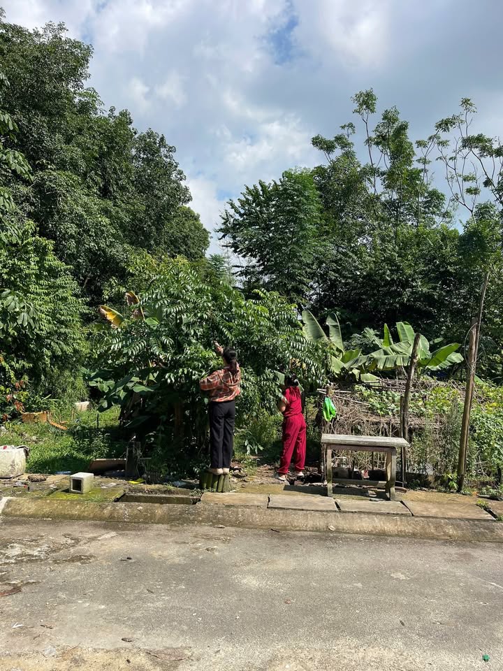 Đất nền Củ Chi 190m² giá 2.45 tỷ - Đường thông tứ hướng, đầu tư sinh lời!