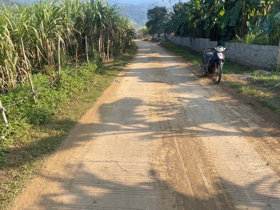 Đất Farm bám mặt tiền đường bê tông tại Cao Phong, Hòa Bình - Giá chỉ 1 tỷ