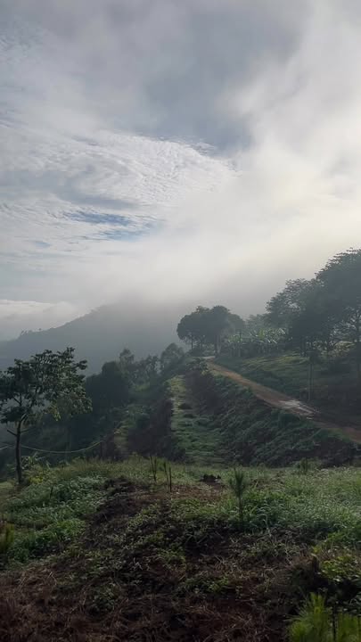 Đất nền Tân Nghĩa 4027m² giá 5.638 tỷ - Tiềm năng phát triển lớn!