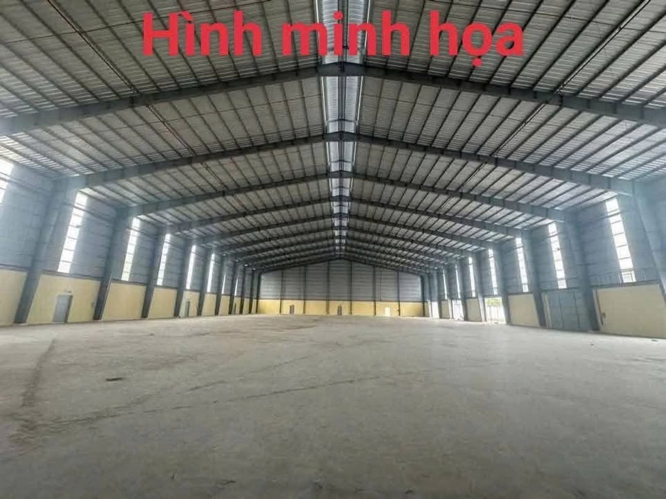 Bán kho 405m² tại KDC 923, An Bình, Ninh Kiều - Giá chỉ 5.2 tỷ!