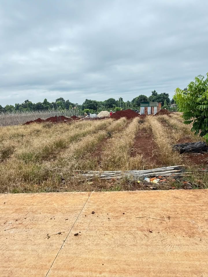 Đất thổ cư 120m² tại Phường Thành Nhất giá 650 triệu - Cơ hội đầu tư không thể bỏ lỡ!