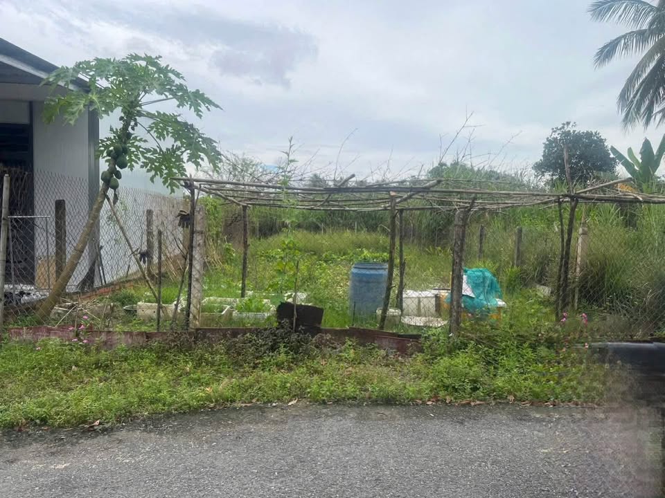 Đất nền Ninh Lộc, Ninh Sơn 278.4m² giá 1 tỷ - Cơ hội đầu tư tuyệt vời!