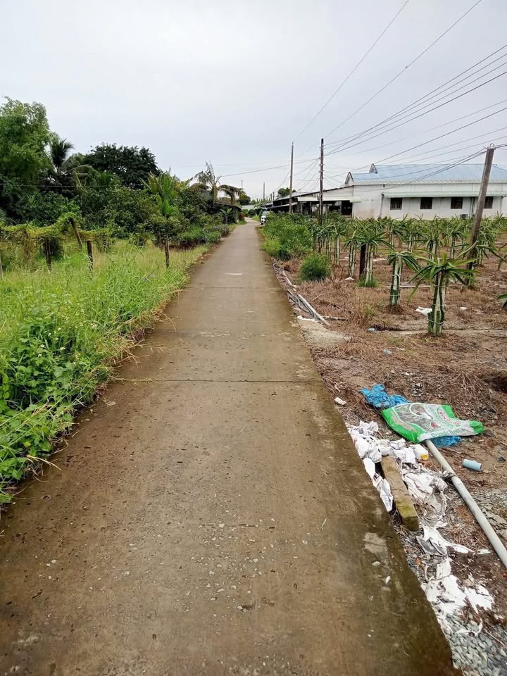 Đất nền 1000m² phường Tân An, Tây Ninh - Giá 1.4 tỷ, đường 4m thông thoáng!