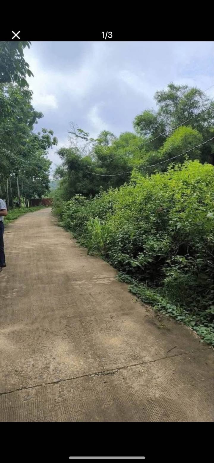 Đất Farm Phước An, Hớn Quản 20.000m² giá 1.1 tỷ - Mặt tiền bê tông rộng rãi!