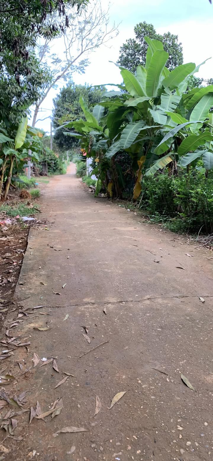 Đất nền An Tường Tuyên Quang 250m² giá 1.1 tỷ - Sổ đỏ chính chủ, hạ tầng hoàn thiện!