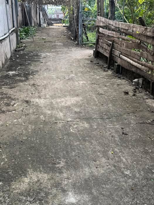 Đất Thường Tín 40.5m² giá 1.7 tỷ - Đường ô tô đỗ cửa, dân cư đông đúc!