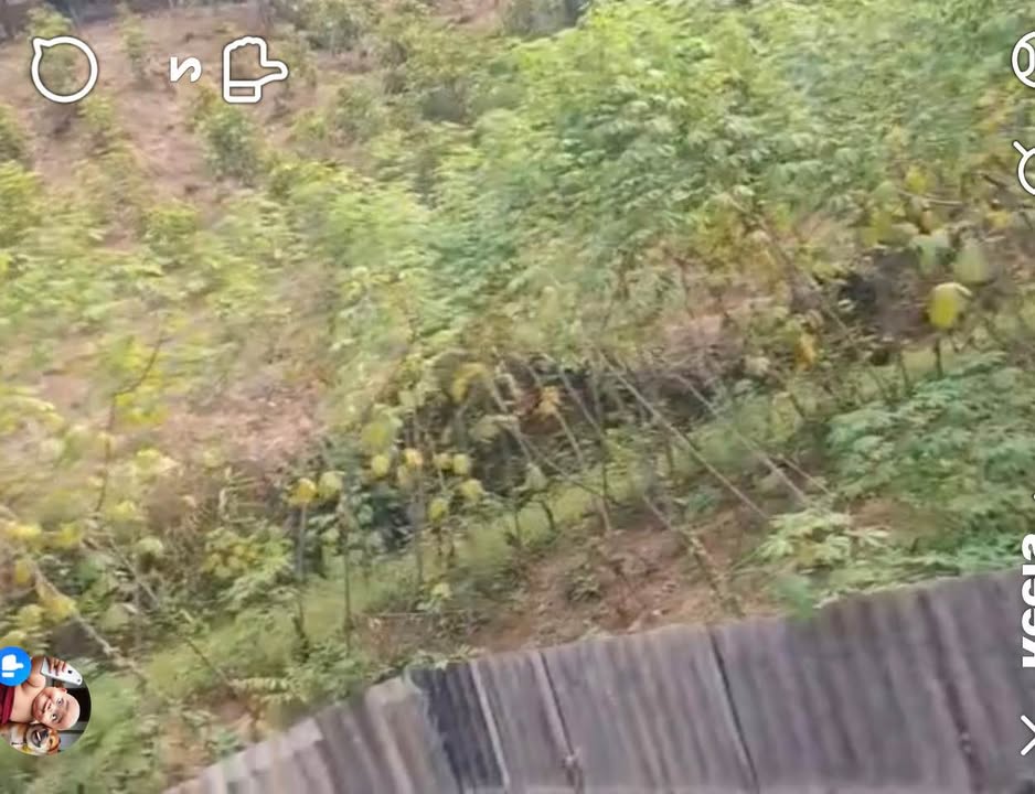 Đất rừng sản xuất Yên Mỹ, Chợ Đồn, Bắc Kạn 4,3ha - Pháp lý rõ ràng, giá tốt!