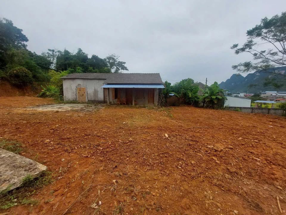 Đất thổ cư 200m² tại Bảo Cường, Định Hóa, Thái Nguyên - Giá chỉ 1 tỷ!