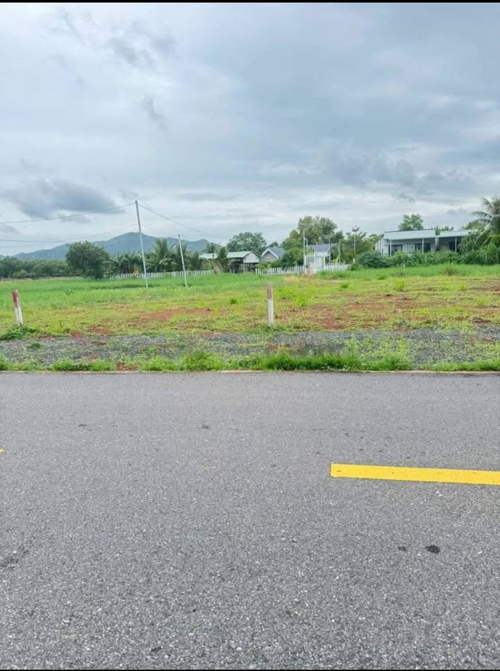 Đất thổ cư Phước Hải 128m² giá 1.25 tỷ - Cơ hội đầu tư sinh lời!