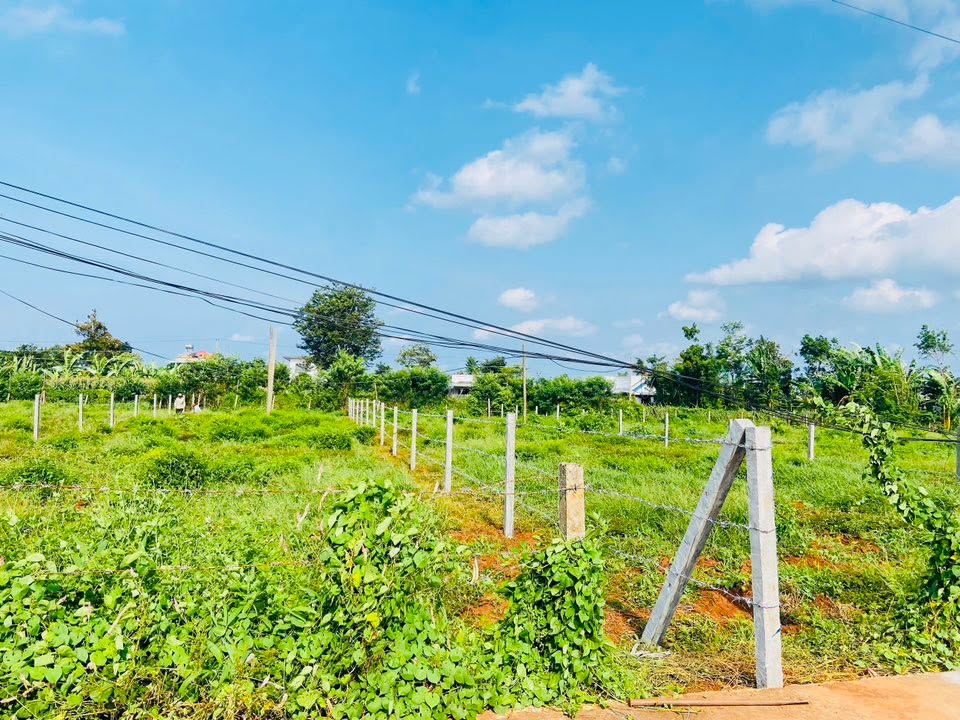 Đất nền Xuyên Mộc, Bà Rịa - Vũng Tàu 508m² giá 1.38 tỷ - Mặt tiền đường bê tông ô tô vào tận nơi!