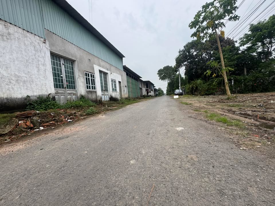 Đất nền Phú Mỹ 103,5m² - Sổ hồng riêng, giá thương lượng hấp dẫn!