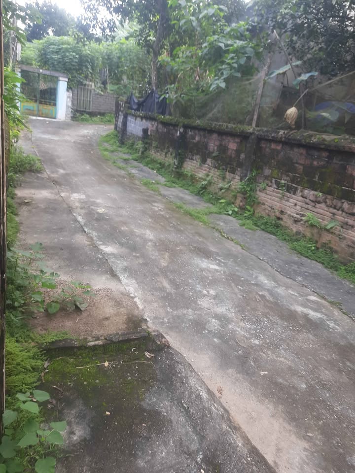 Đất Xóm Bướm, Khánh Thượng, Ba Vì 2600m² giá 9 tỷ - Cơ hội đầu tư sinh lời!