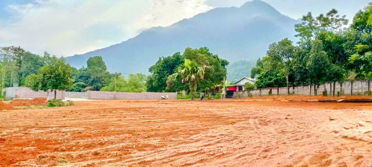 Đất phân lô Yên Bài, Ba Vì 2876m² - Mặt tiền rộng, giá thương lượng!