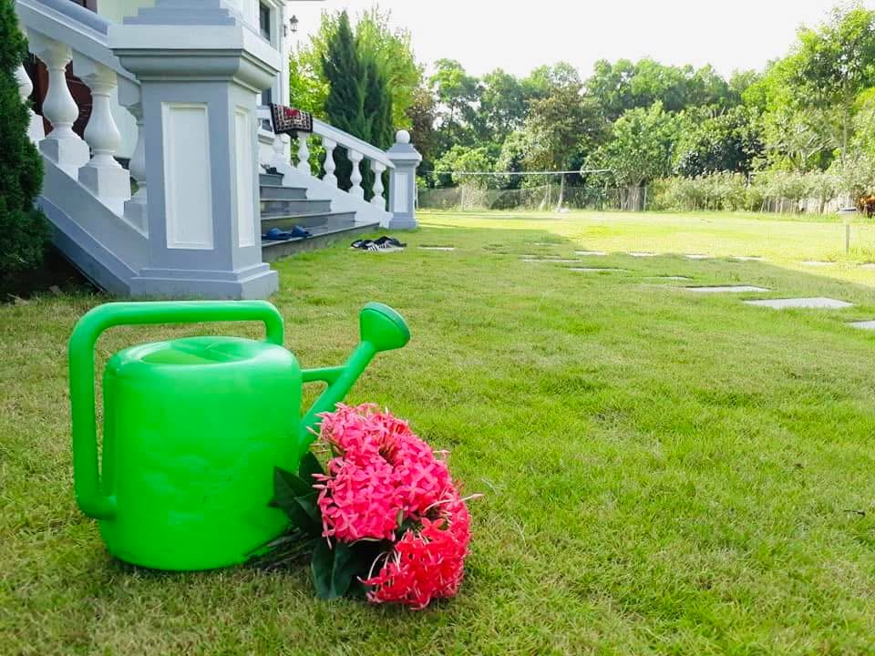 Mảnh vườn xinh đẹp 3780m² tại Yên Bài, Ba Vì - Không gian sống lý tưởng cho gia đình!