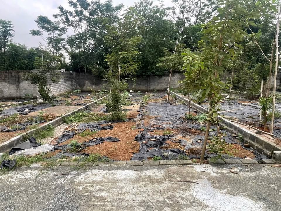 Đất nền Đông Hạ, Ba Vì 100m² giá 2 tỷ - Sổ đỏ chính chủ, đầu tư sinh lời!