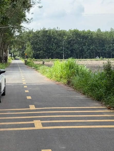 Đất nền Tân Hiệp, Phú Giáo 235m² giá 630 triệu - Đầu tư sinh lời ngay!