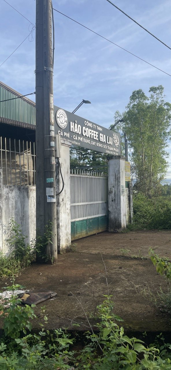 Đất nền đẹp tại Đồi Thông, Pleiku 125m² chỉ 700 triệu - Đầu tư sinh lời!