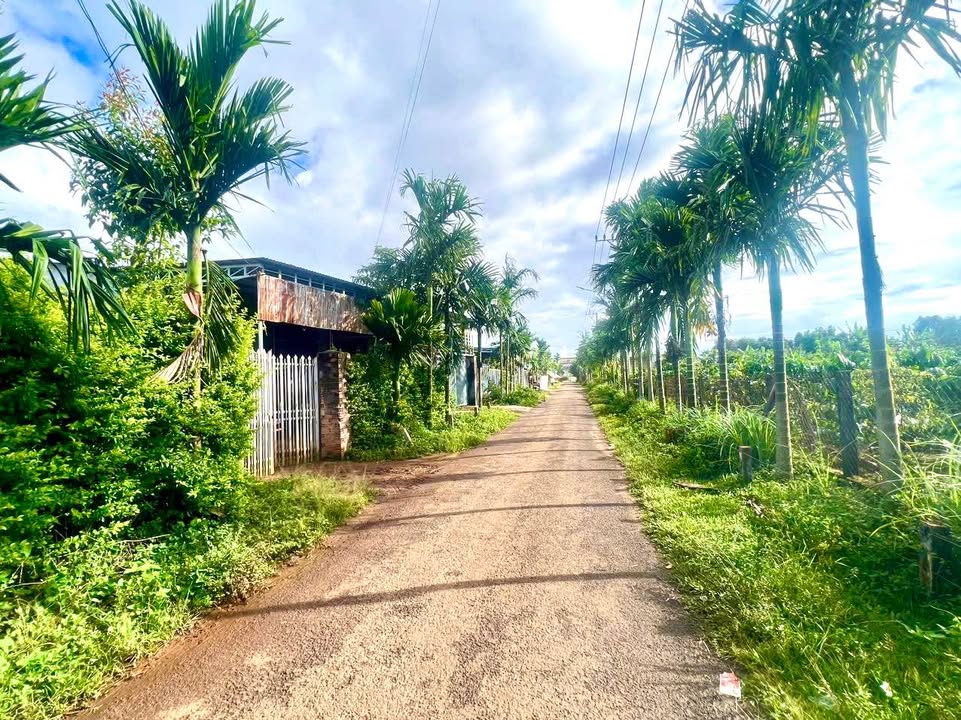 Đất nền chính chủ đường Đào Duy Từ, 225m² giá 500 triệu - Đầu tư sinh lời ngay!