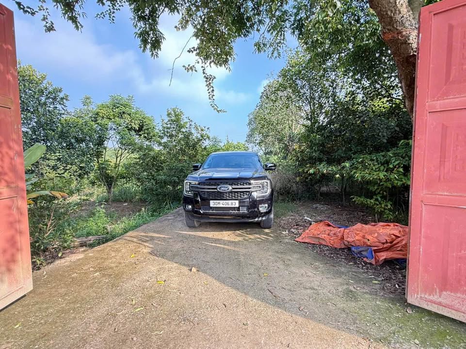 Đất Farm 1ha tại Thanh Mỹ, Sơn Tây - Giá chỉ 200 triệu - Không khí trong lành, gần cánh đồng!