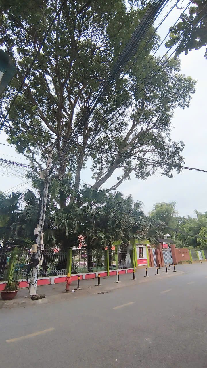 Căn hộ Tập thể Thượng Thanh 40m² giá 2 tỷ - Cơ hội decor theo phong cách riêng!