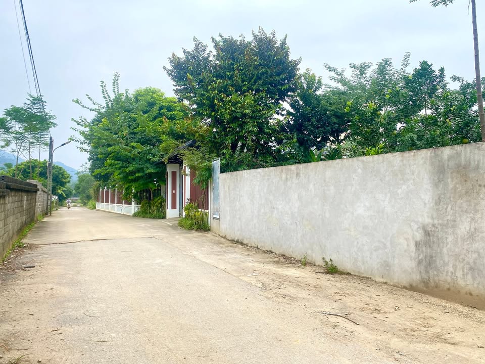 Đất nền Tiến Xuân 138m² - Sổ đỏ chính chủ, gần Ga Metro 5!