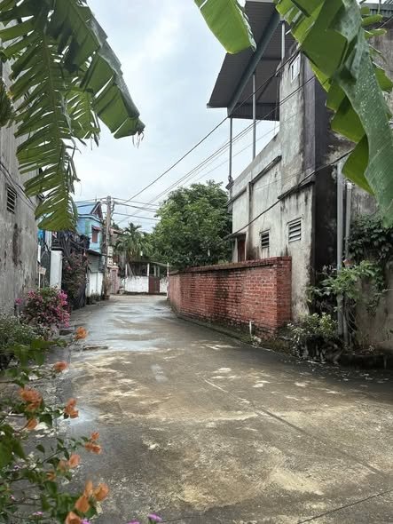 Đất nền Phú Châu, Ba Vì 100m² giá 1.x tỷ - Cơ hội đầu tư tuyệt vời!