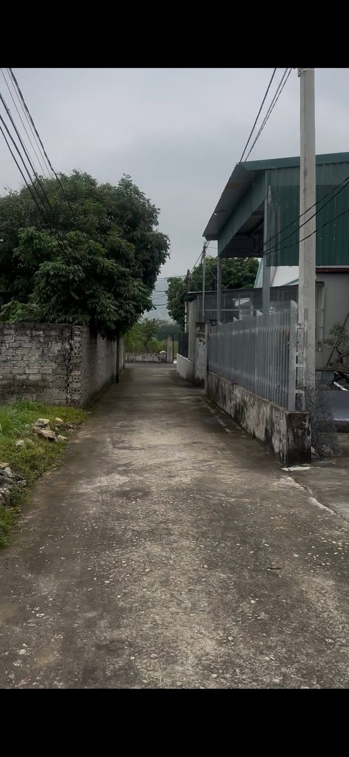 Đất thổ cư Đông Sơn, Tam Điệp 189m² giá chỉ 600 triệu - Cơ hội đầu tư hấp dẫn!