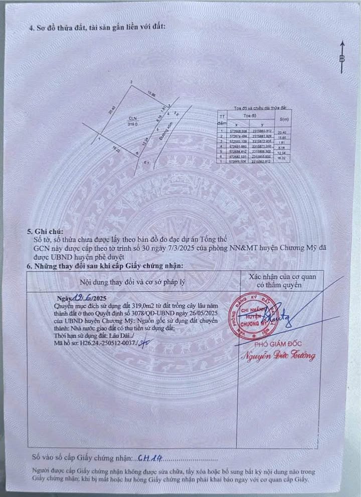 Đất nền Phụng Châu, Chương Mỹ 319m² giá đầu tư - Mặt tiền rộng, giao thông thuận lợi!